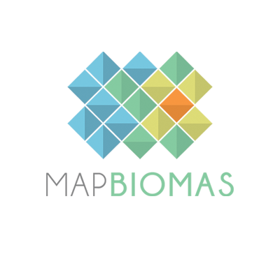 Monitor da Fiscalização do Desmatamento, plataforma online do MapBiomas
