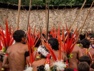Foto: Índios da etnia Yanomami