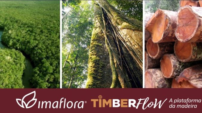O Imaflora acredita que a certificação socioambiental é uma das ferramentas que respondem a parte desse desafio, com forte poder indutor do desenvolvimento local, sustentável, nos setores florestal e agrícola.