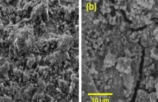 Foto: Mariana A. M. Rezende et al./Journal of the Brazilian Chemical Society | Amostras do material de referência (a) e do concreto feito com lodo de ETA observadas em microscópio eletrônico após o teste de corrosão