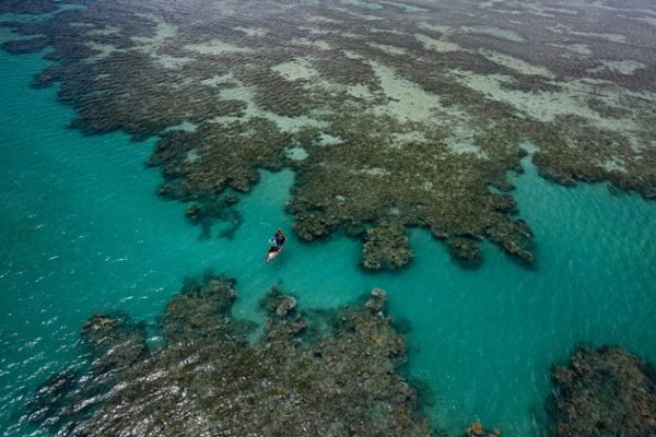 Foto: Luciano Candisani/iLCP | Parque dos Abrólios