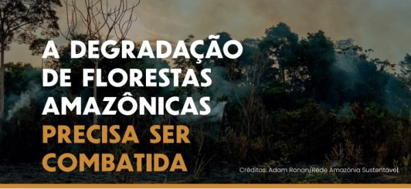 Foto: Divulgação | Policy Brief: Degradação das florestas amazônicas