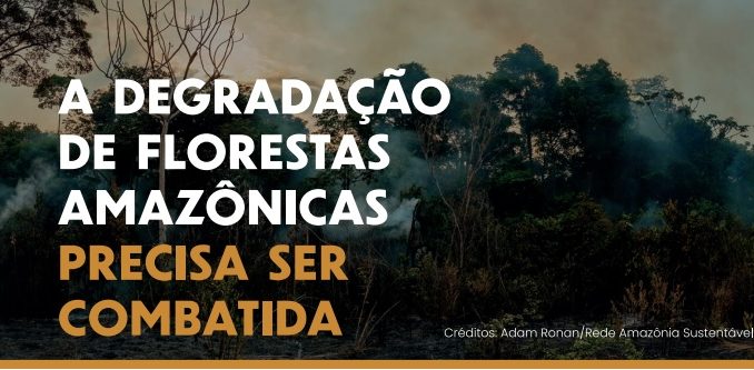 Policy Brief: Degradação das florestas amazônicas