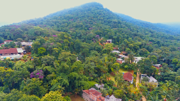 Foto: Divulgação | Conheça o Projeto Quilombo Sustentável