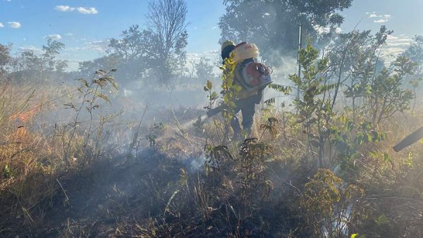 Foto: Divulgação | Com a chegada da seca, entidades reforçam importância de proteger o Cerrado contra incêndios