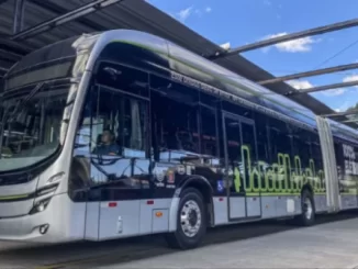 Foto: Marcopolo | Eletrificação de frotas de ônibus pode ser porta de entrada para eletromobilidade no Brasil