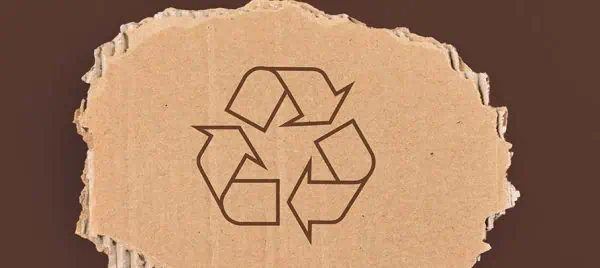 Foto: Divulgação | O que são e por que usar embalagens sustentáveis em seu negócio?