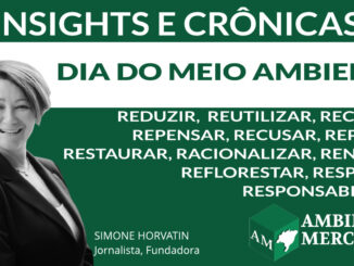 COLUNA INSIGHTS E CRÔNICAS | SIMONE NORVATIN | AMBIENTAL MERCANTIL