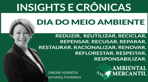 COLUNA INSIGHTS E CRÔNICAS | SIMONE NORVATIN | AMBIENTAL MERCANTIL