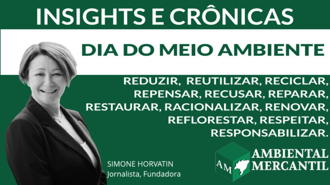 COLUNA INSIGHTS E CRÔNICAS | SIMONE NORVATIN | AMBIENTAL MERCANTIL