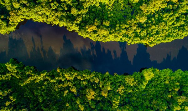 Foto: Joao Paulo Krajewski | Rio Cristalino na Amazônia