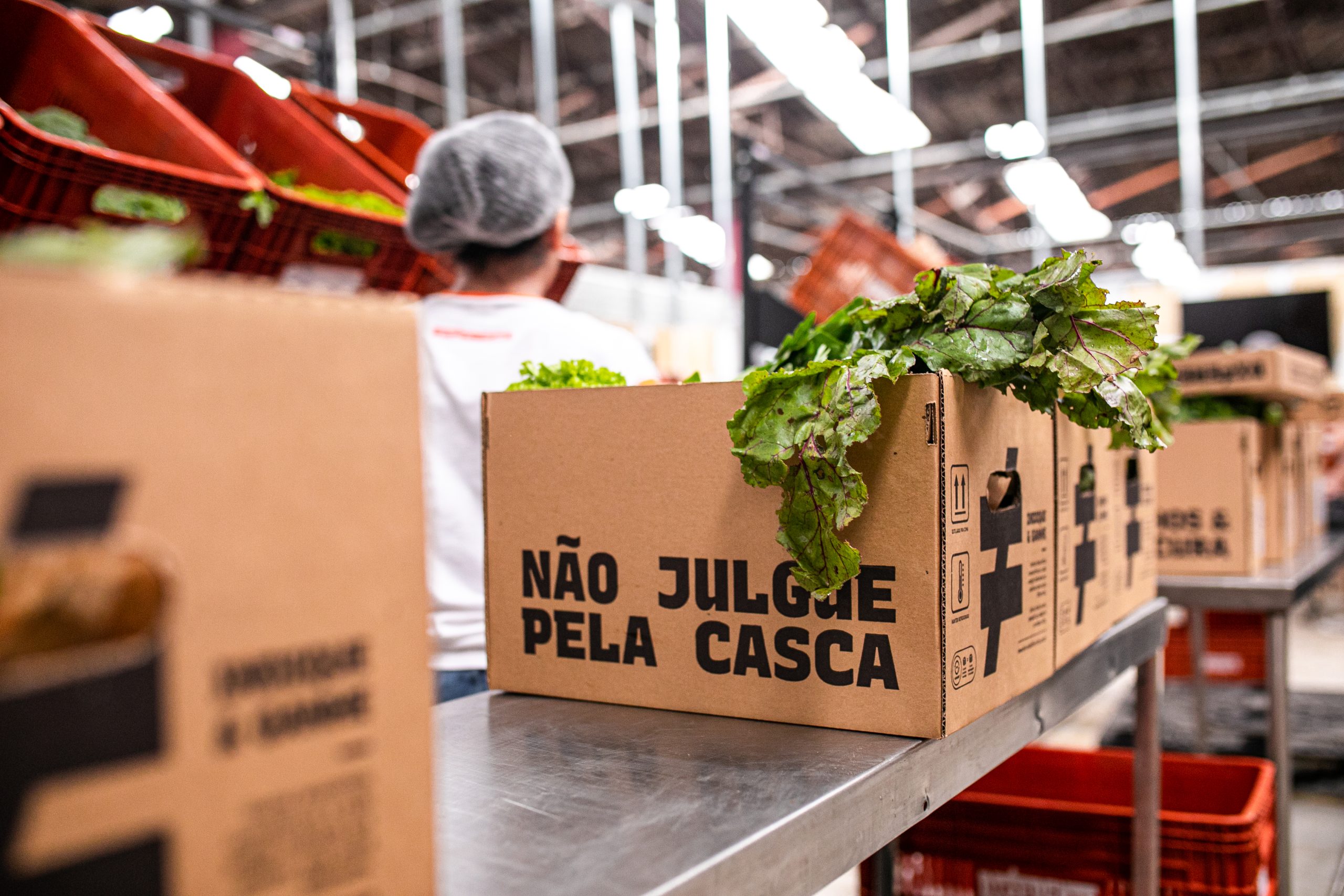 Em crescimento acelerado, startup que entrega alimentos orgânicos em casa expande operação para Campinas e Jundiaí