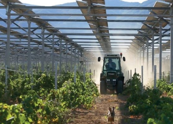 Foto © Sun'Agri: Sistema suspenso com fileiras continuas de módulos fotovoltaicos