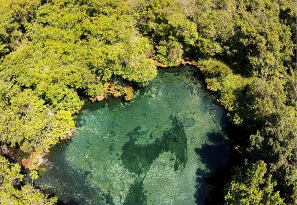 Região de Bonito encanta os turistas com seus rios com águas cristalinas e rica biodiversidade