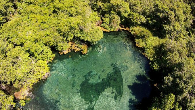 Região de Bonito encanta os turistas com seus rios com águas cristalinas e rica biodiversidade