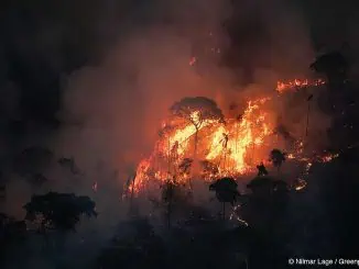 Imagem: Queimadas na Amazonia | Autor desconhecido