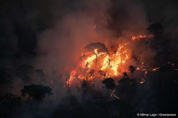 Imagem: Queimadas na Amazonia | Autor desconhecido