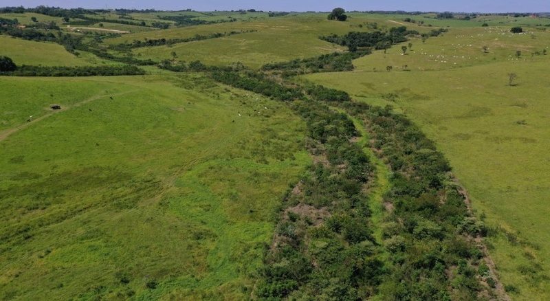 Os projetos foram elaborados pela ONG Iniciativa Verde, aprovados pela comissão do Programa Nascentes e disponibilizados na “Prateleira de Projetos”.