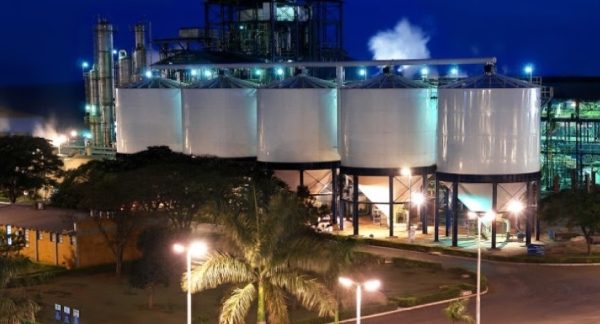 A BP Bunge Bioenergia, empresa formada pela joint venture das operações de açúcar e etanol da BP e Bunge, está entre as maiores empresas do setor sucroenergético do País.