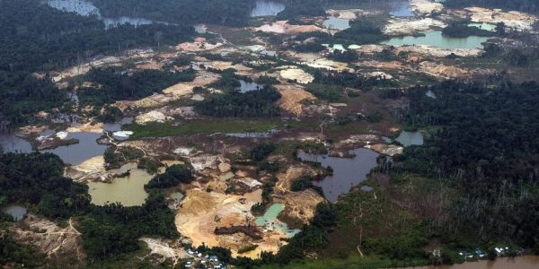 Foto: Bruno Kelly, Amazonia-Real