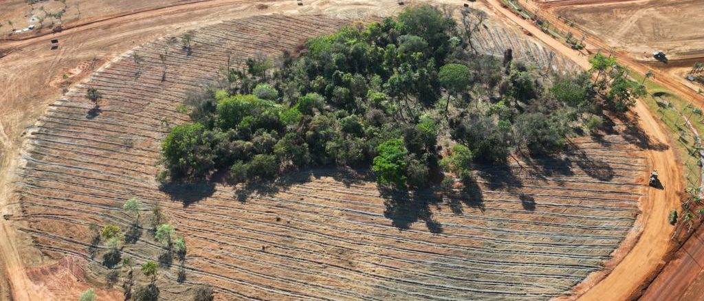 Imagem aérea da agrofloresta do condomínio Parqville Figueira, na Avenida São Paulo, em Aparecida de Goiânia