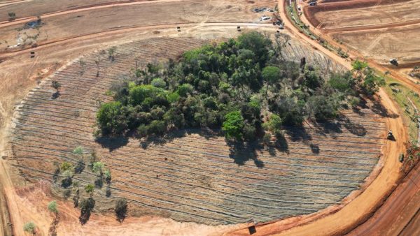 Imagem aérea da agrofloresta do condomínio Parqville Figueira, na Avenida São Paulo, em Aparecida de Goiânia