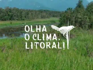 O projeto é realizado pelo Mater Natura, por meio do programa Petrobras Socioambiental, na linha de atuação de Florestas.