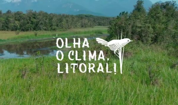 O projeto é realizado pelo Mater Natura, por meio do programa Petrobras Socioambiental, na linha de atuação de Florestas.