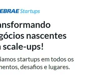 O diagnóstico pode ser respondido através da plataforma Sebrae Startups.