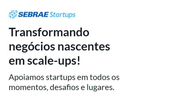 O diagnóstico pode ser respondido através da plataforma Sebrae Startups.