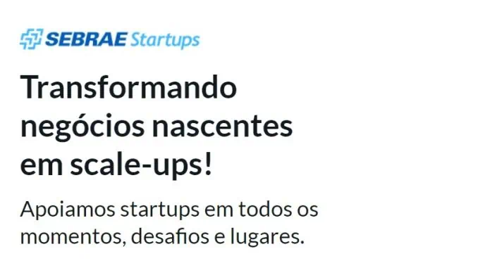 O diagnóstico pode ser respondido através da plataforma Sebrae Startups.