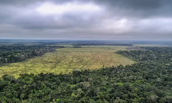 Foto: Desmatamento na Amazônia | ISPN