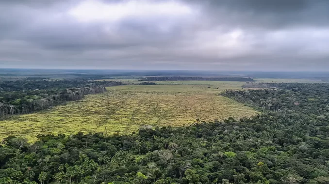Foto: Desmatamento na Amazônia | ISPN