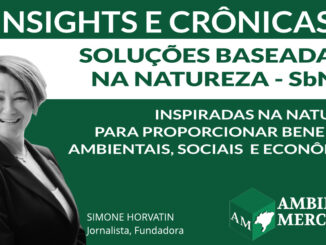 COLUNA INSIGHTS E CRÔNICAS | SIMONE NORVATIN | AMBIENTAL MERCANTIL