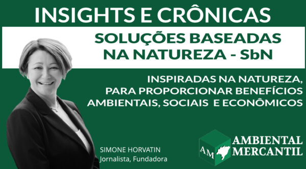 COLUNA INSIGHTS E CRÔNICAS | SIMONE NORVATIN | AMBIENTAL MERCANTIL