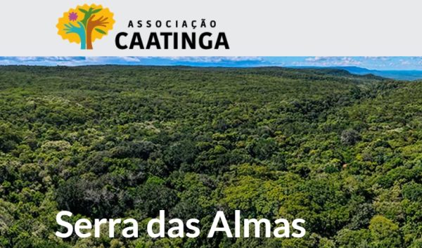 A Reserva Natural Serra das Almas (RNSA), uma Reserva Particular do Patrimônio Natural (RPPN) localizada entre os municípios de Crateús (CE) e Buriti dos Montes (PI).