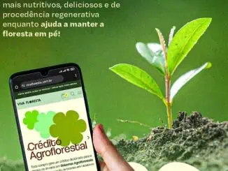 A Viva Floresta, reconhecida por seu compromisso com produtos que são benéficos tanto para a saúde humana quanto para o planeta, pratica o extrativismo sustentável.