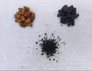 Foto: O biochar, feito por meio do caroço de azeitona, atende ao conceito de bioeconomia podendo ser utilizado para diferentes fins.