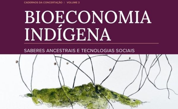 Estudo "Bioeconomia Indígena - Saberes Ancestrais e Tecnologias Sociais"