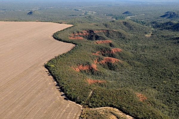 Foto: Site do IPAM Amazônia