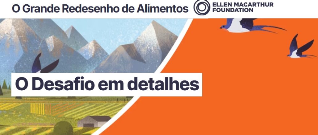 As empresas que estão participando da jornada desenvolveram suas ideias de produtos alimentícios com base no design circular ao longo de 2023.