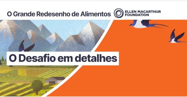 As empresas que estão participando da jornada desenvolveram suas ideias de produtos alimentícios com base no design circular ao longo de 2023.