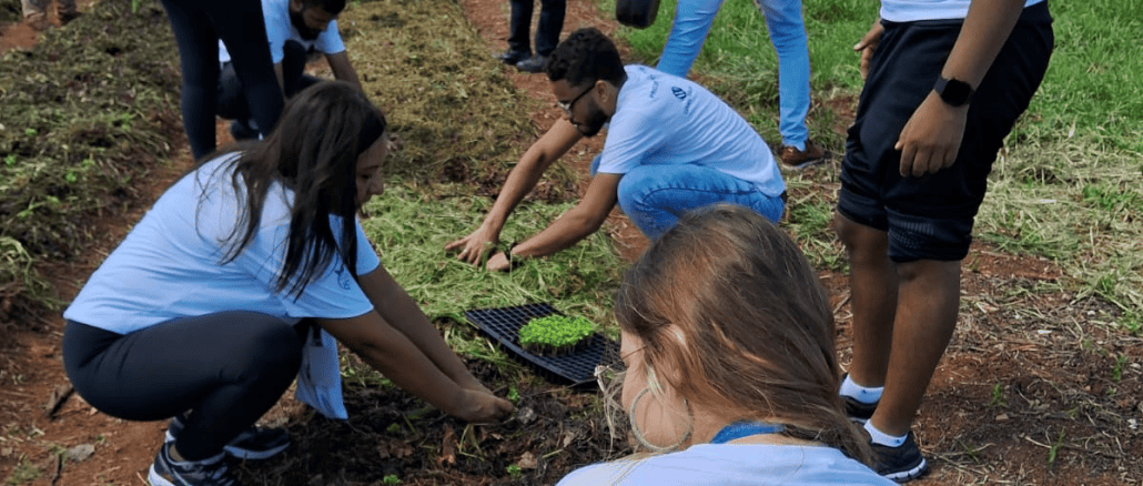 O Grupo Polar lançou o projeto Fazendinha, que consiste no cultivo de horta com o substrato e cuja colheita será distribuída a instituições sociais e famílias carentes, em parceria com a Associação de Resgate à Cidadania (ARCAH).