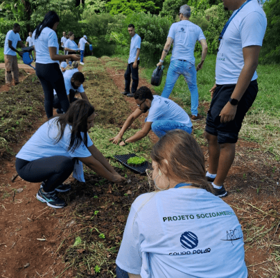 O Grupo Polar lançou o projeto Fazendinha, que consiste no cultivo de horta com o substrato e cuja colheita será distribuída a instituições sociais e famílias carentes, em parceria com a Associação de Resgate à Cidadania (ARCAH).