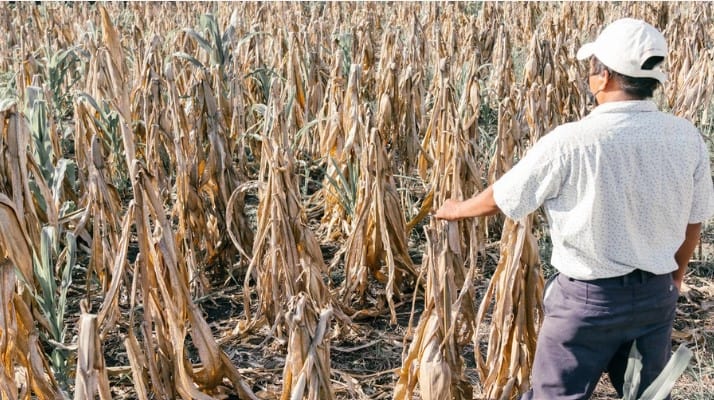 ACNUR alerta sobre os efeitos das mudanças climáticas sobre pessoas deslocadas à força e apátridas