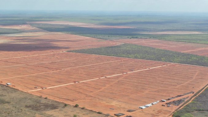 Foto: O complexo de Mendubim situa-se em Assu (RN), em pleno semiárido nordestino, e é o segundo empreendimento da Scatec no Brasil, compreendendo um investimento total de US$ 430 milhões, ou cerca de R$ 2,1 bilhões.