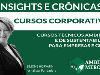 COLUNA INSIGHTS E CRÔNICAS | SIMONE NORVATIN | AMBIENTAL MERCANTIL