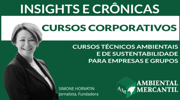 COLUNA INSIGHTS E CRÔNICAS | SIMONE NORVATIN | AMBIENTAL MERCANTIL