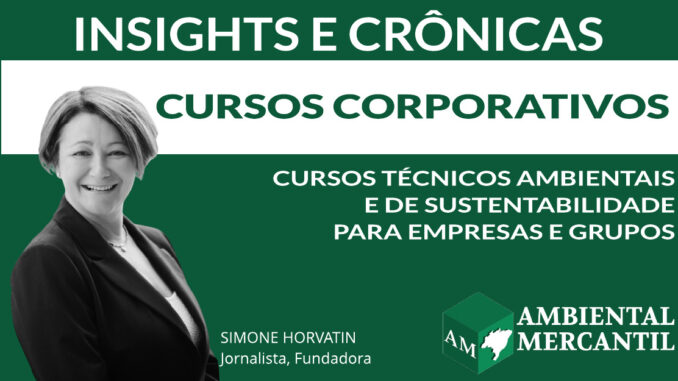 COLUNA INSIGHTS E CRÔNICAS | SIMONE NORVATIN | AMBIENTAL MERCANTIL