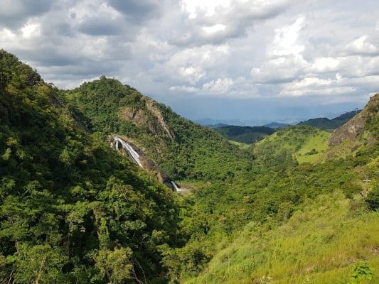 Foto: SOS mata Atlântica, Arquivo